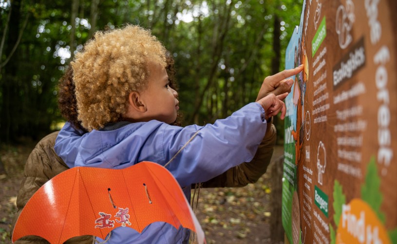 Zog Trail at Westonbirt Arboretum